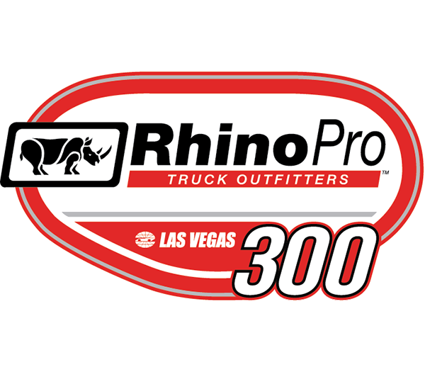 Rhino Pro Truck Outfitters 300