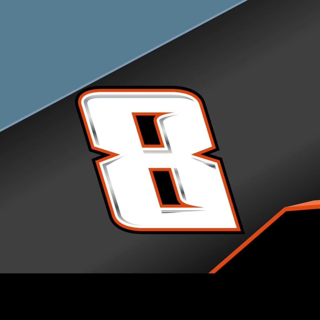 Kyle Busch Stats